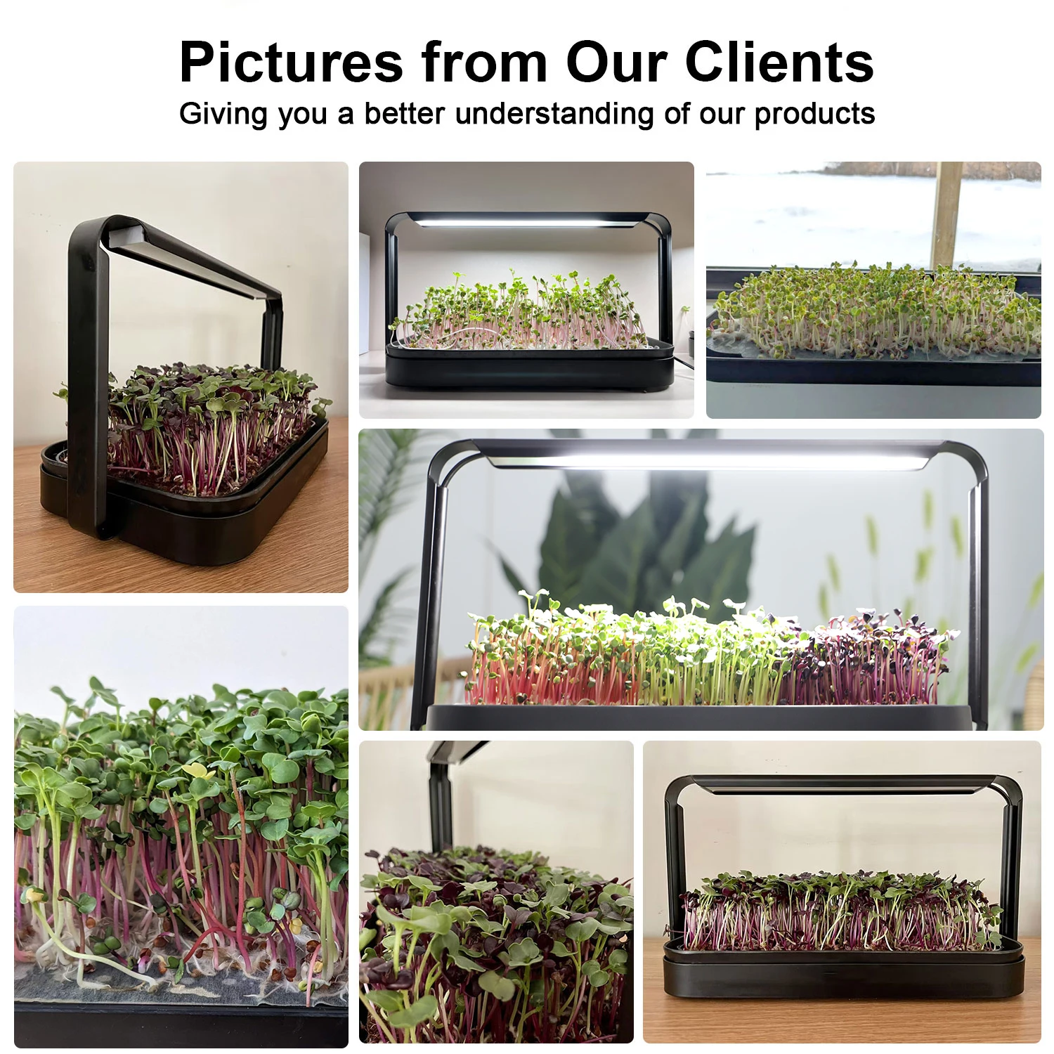 Système de culture intérieure  - Indoor Herb Garden Grow Light Smart Kit avis et prix