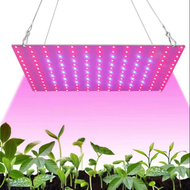 Lumière LED pour la croissance - Plant Grow Light Full Spectrum Clip On avis et prix