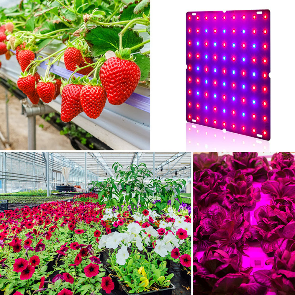 Lumière LED pour la croissance - Plant Grow Light Full Spectrum Clip On avis et prix