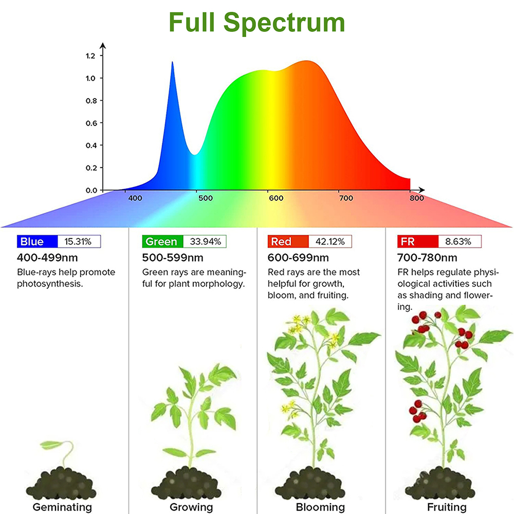1/2/3/4 tête LED élèvent la ba - Plant Grow Light Full Spectrum Clip On avis et prix