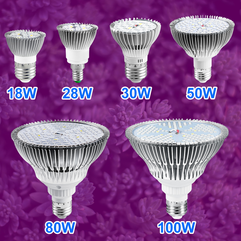 Lampe de culture LED à spectre - Plant Grow Light Full Spectrum Clip On avis et prix