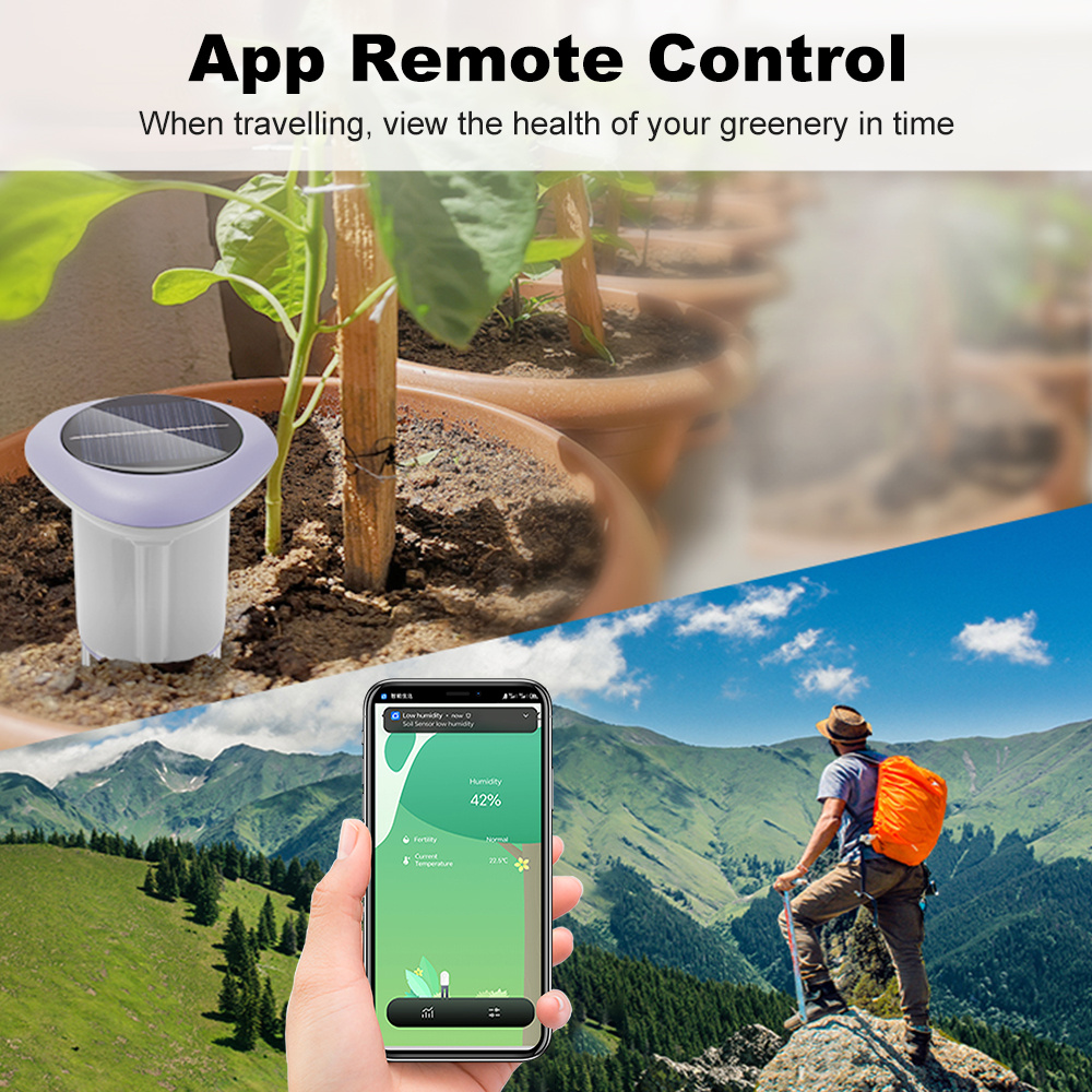 Testeur de sol solaire Zigbee, - Smart Plant Sensor Soil Moisture Meter avis et prix