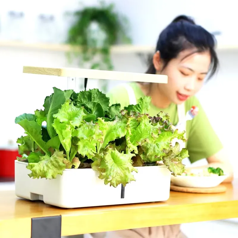 Kit de jardinage hydroponique  - Indoor Herb Garden Grow Light Smart Kit avis et prix