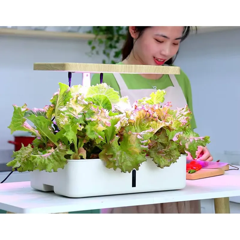 Kit de jardinage hydroponique  - Indoor Herb Garden Grow Light Smart Kit avis et prix