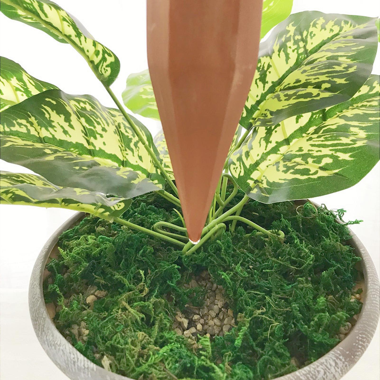 Arroseurs verticaux automatiqu - Automatic Plant Watering Spikes Drip Kit avis et prix