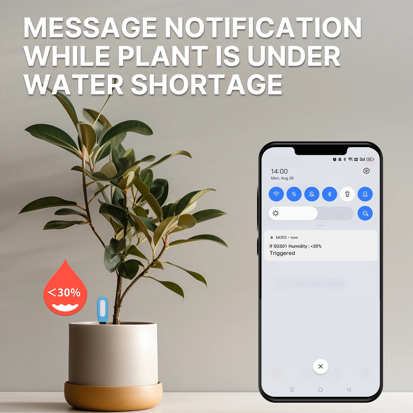 MOES-Compteur de température d - Smart Plant Sensor Soil Moisture Meter avis et prix