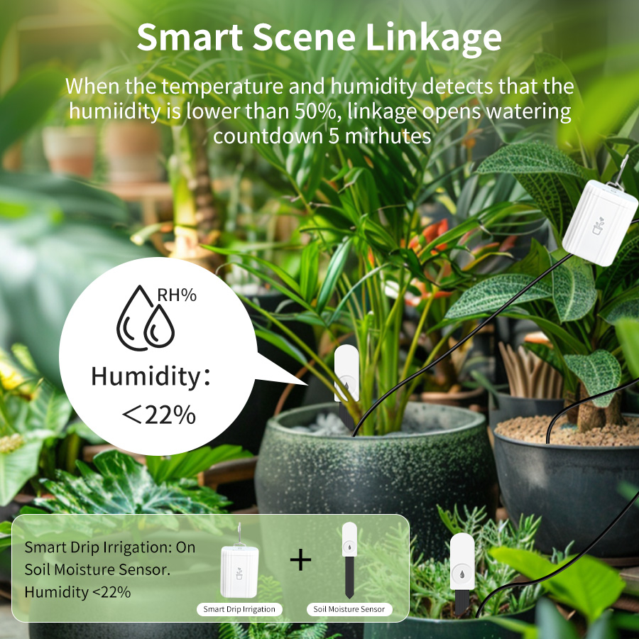 Testeur de sol intelligent Zig - Tuya Zigbee Soil Moisture Temperature Sensor avis et prix