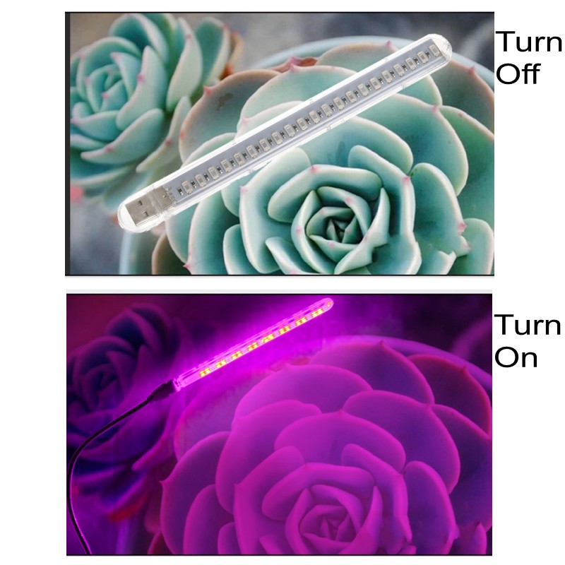 Lampe horticole de croissance  - Plant Grow Light Full Spectrum Clip On avis et prix