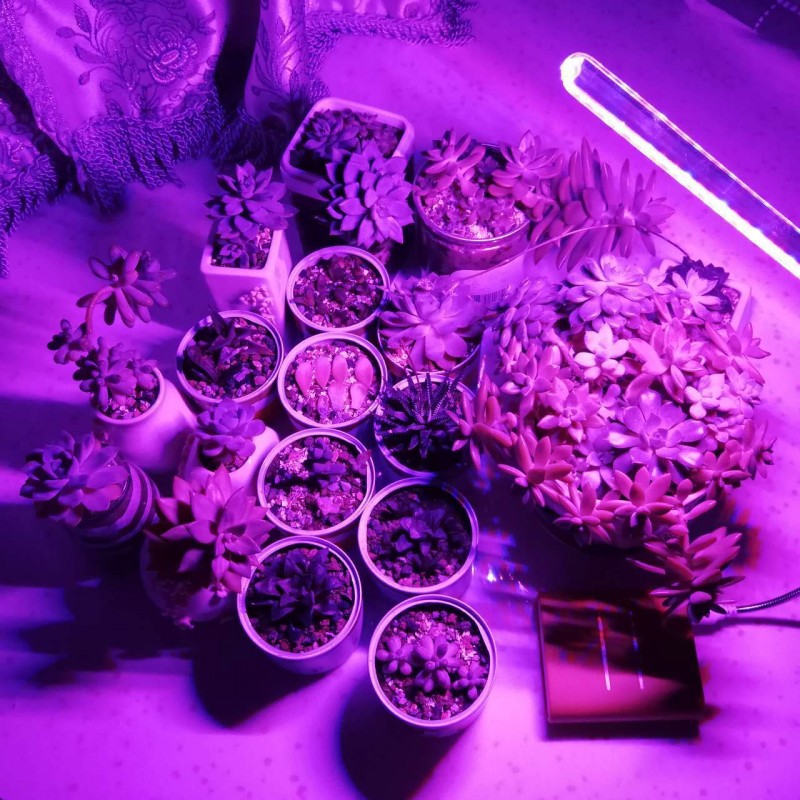 Lampe horticole de croissance  - Plant Grow Light Full Spectrum Clip On avis et prix
