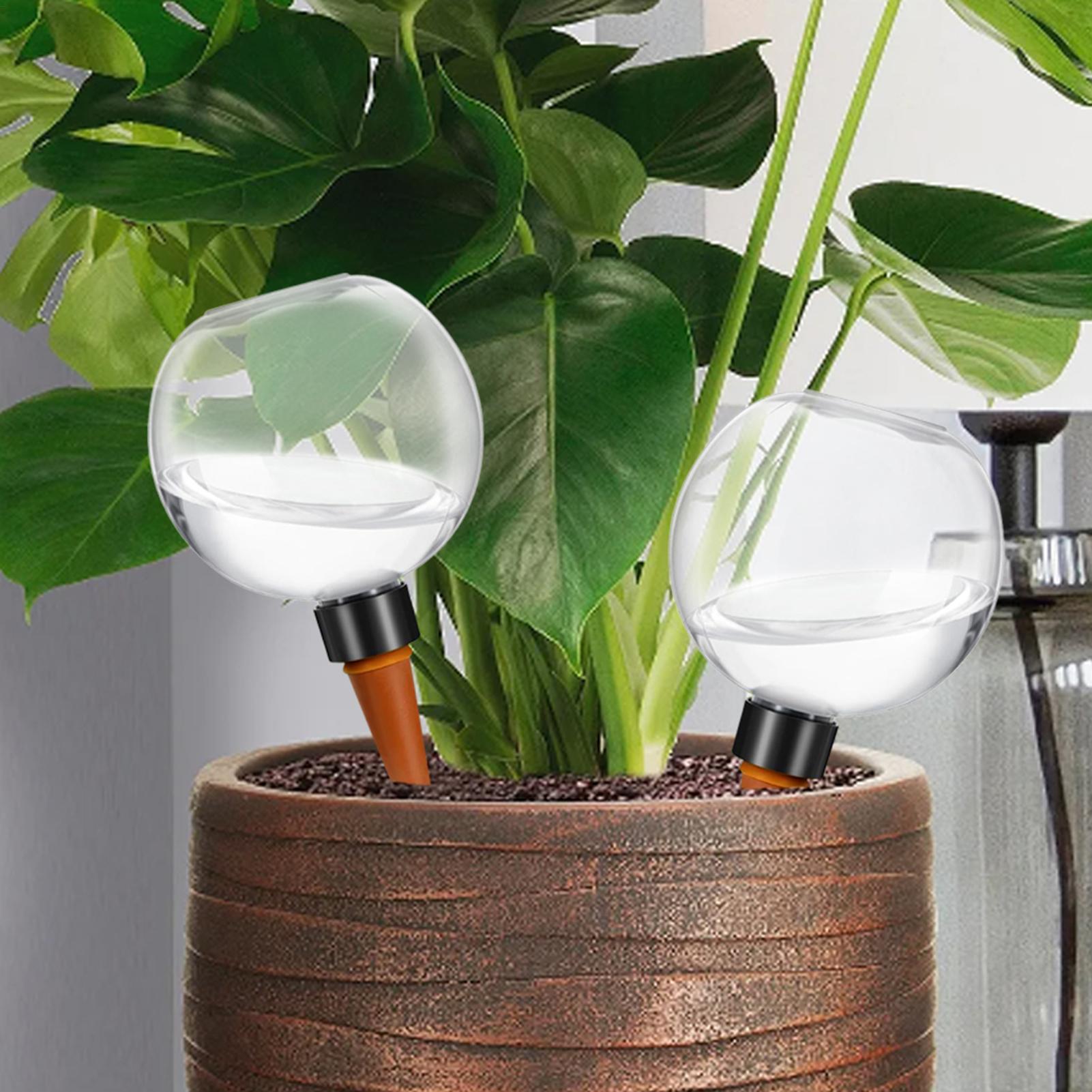Système d'irrigation goutte à  - Automatic Plant Watering Spikes Drip Kit avis et prix