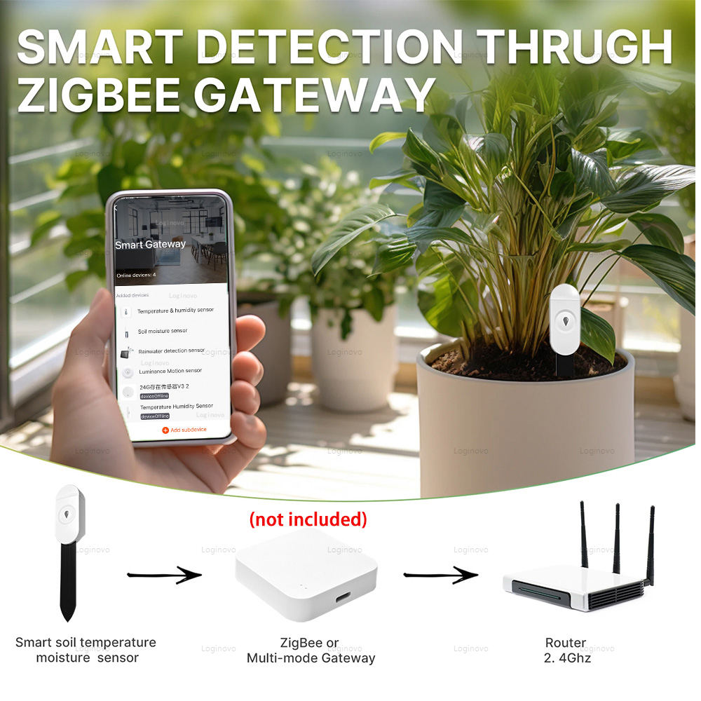 Tuya Zigbee – testeur d'humidi - Tuya Zigbee Soil Moisture Temperature Sensor avis et prix