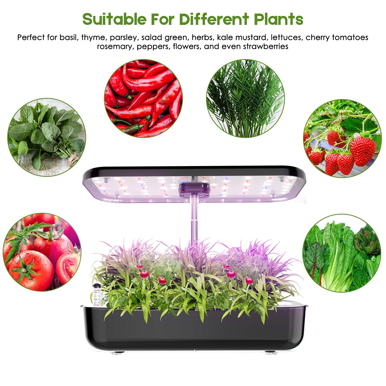 Kit de démarrage de jardin d'h - Indoor Herb Garden Grow Light Smart Kit avis et prix